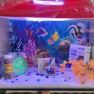 Fish Aquarium Glass 1.5 Feet (Rectangular)