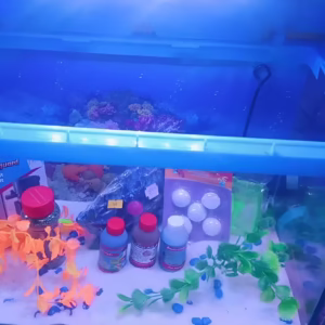 Fish Aquarium Glass 1.5 Feet (Rectangular)