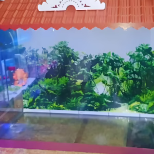 Fish Aquarium Glass 1.5 Feet (Rectangular) – Complete Aquarium Kit with Accessories - Japanese Top Cover Design