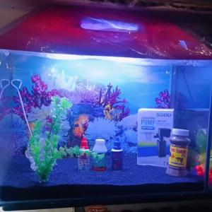 Fish Aquarium Glass 1.5 Feet (Rectangular)