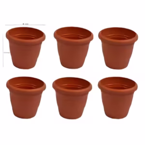 Pots for Plants - Image 3
