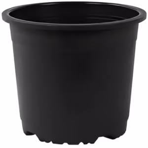 Pots for Plants - Image 6