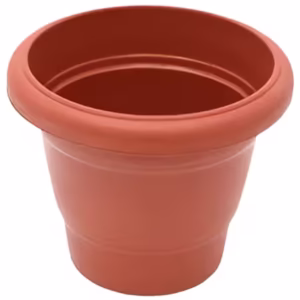 Pots for Plants - Image 2