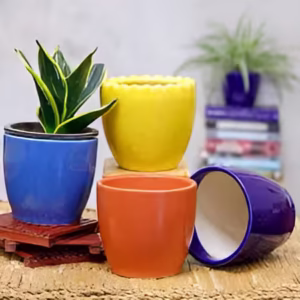 Pots for Plants - Image 16