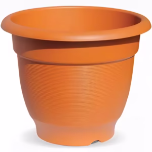 Pots for Plants - Image 4