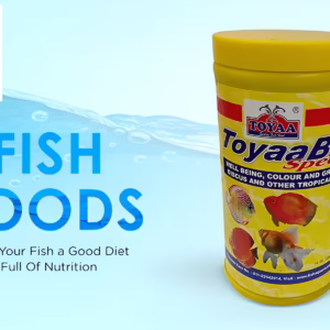 TOYAA BITS Special Fish Food – Premium Nutrition for Discus & Tropical Fish