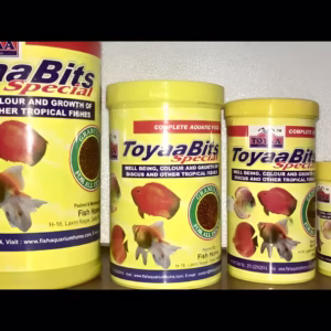 TOYAA BITS Special Fish Food – Premium Nutrition for Discus & Tropical Fish